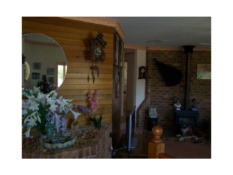 41 Jacob Crescent, Lavington NSW 2641