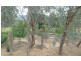 3 McLeod Court, West Albury NSW 2640