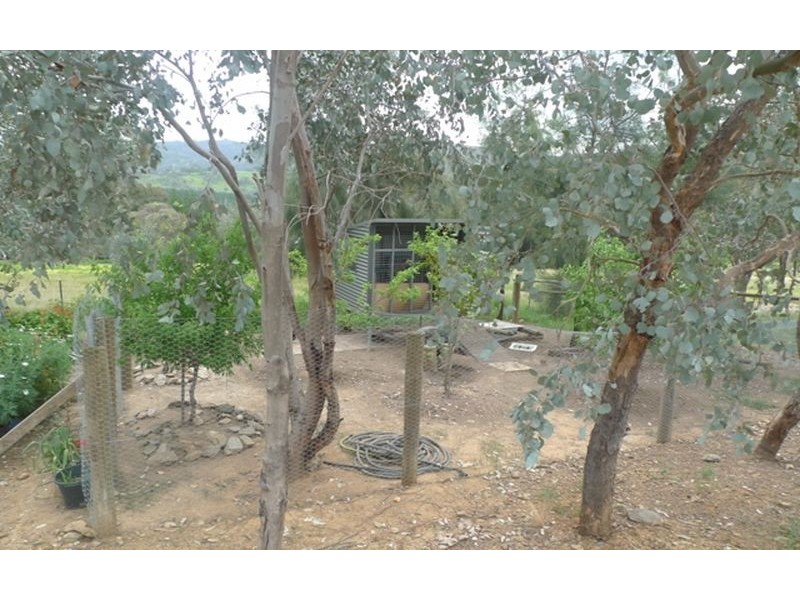 3 McLeod Court, West Albury NSW 2640