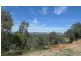 3 McLeod Court, West Albury NSW 2640
