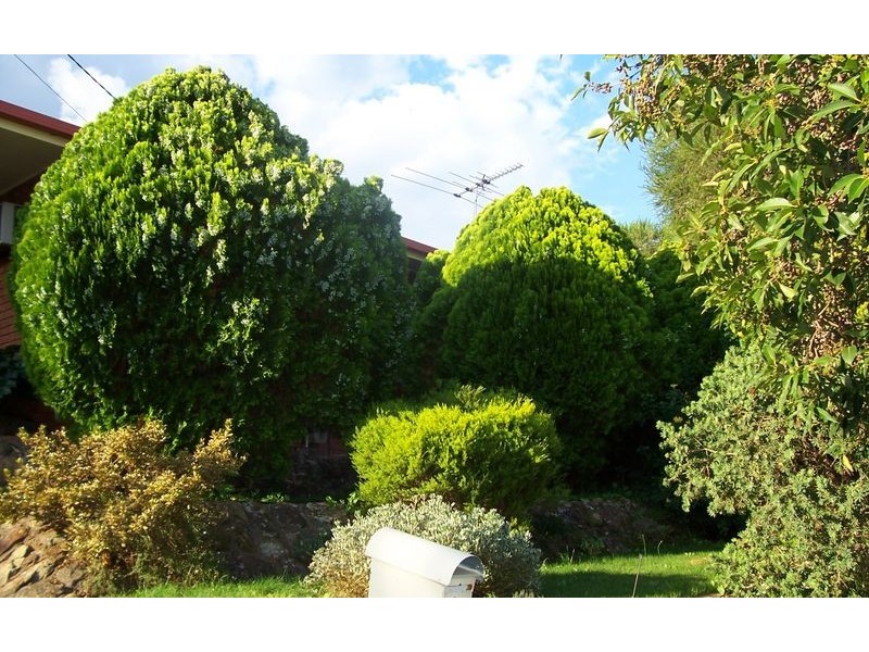 21 Michelle Avenue, Lavington NSW 2641