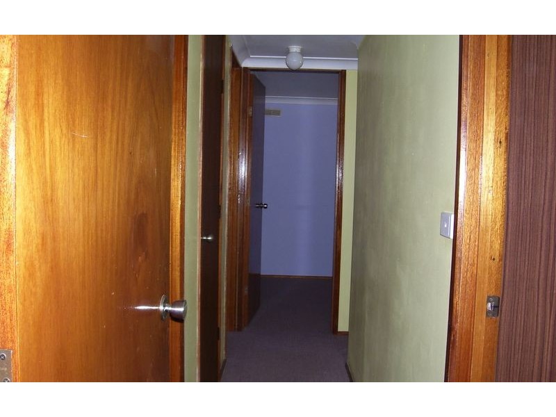 16 Cassia Street, Albury NSW 2640