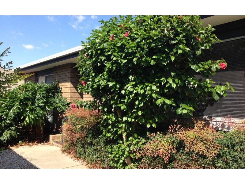4/549 Ebden Street, Albury NSW 2640