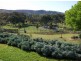 868 Pearsall Street, Lavington NSW 2641