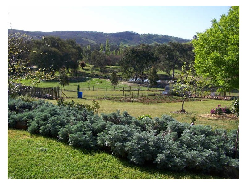 868 Pearsall Street, Lavington NSW 2641