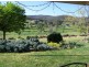 868 Pearsall Street, Lavington NSW 2641