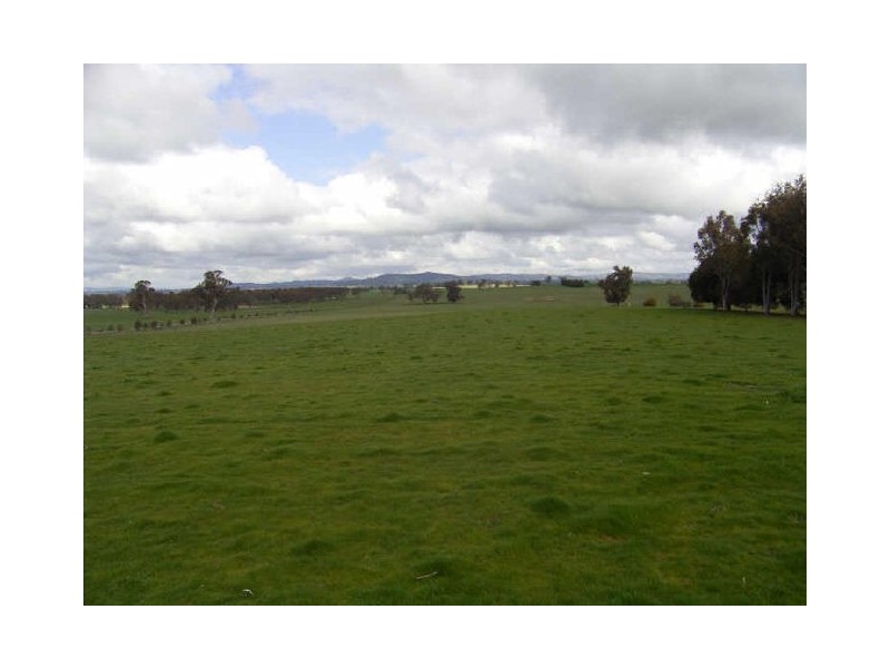 41 Sarah Street, Gerogery NSW 2642