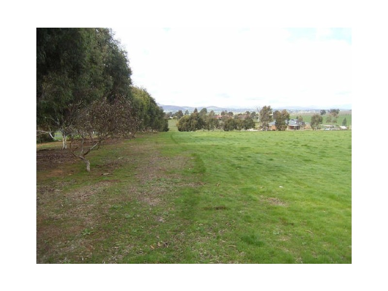 41 Sarah Street, Gerogery NSW 2642