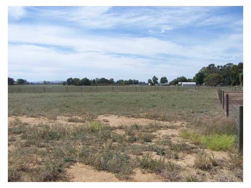 6 Broughton Court, Howlong NSW 2643