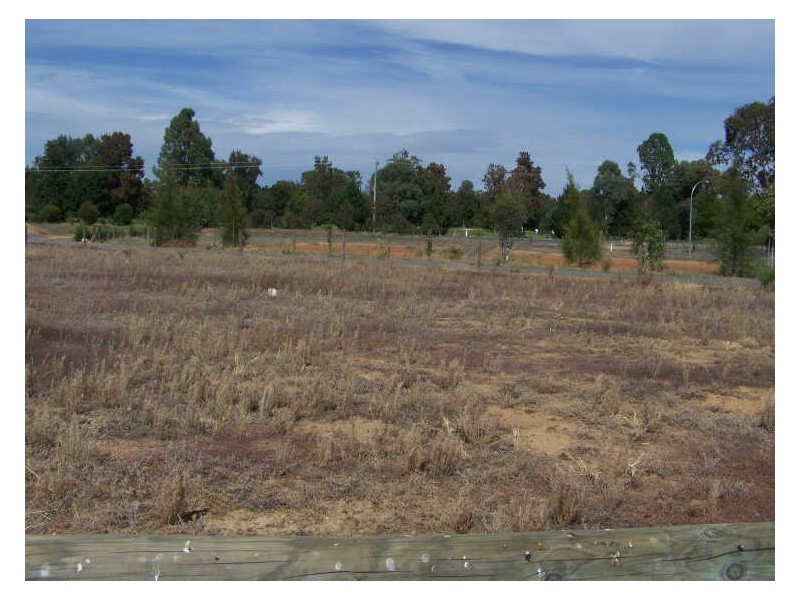 6 Broughton Court, Howlong NSW 2643