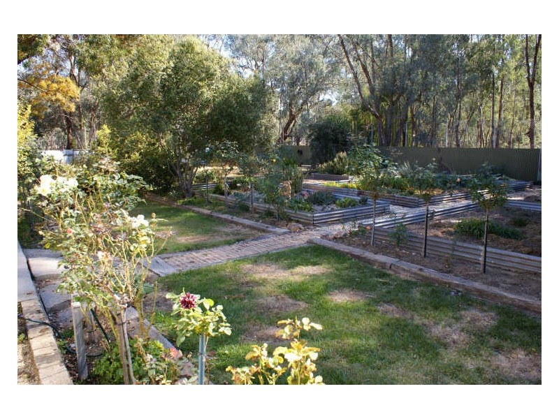 69-71 Wood Street, Jindera NSW 2642