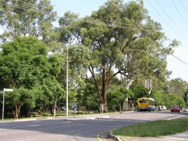 16 Todd Street, Taringa QLD 4068