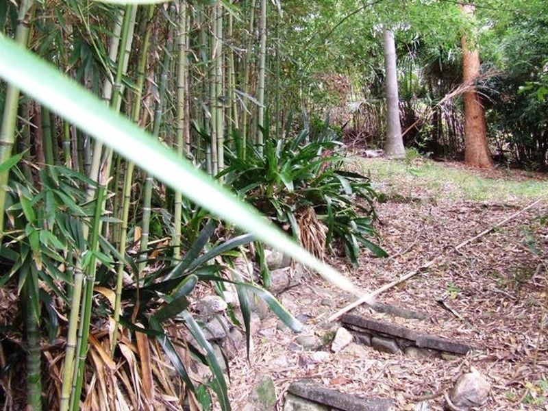 45 Iona Terrace, Taringa QLD 4068