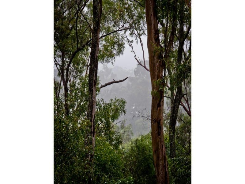 80 White Cedar Road, Pullenvale QLD 4069