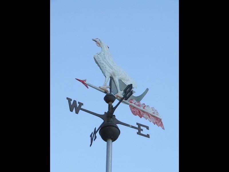 23 Emerson Street, Toowong QLD 4066