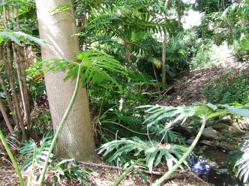 133 Broseley Road, Toowong QLD 4066