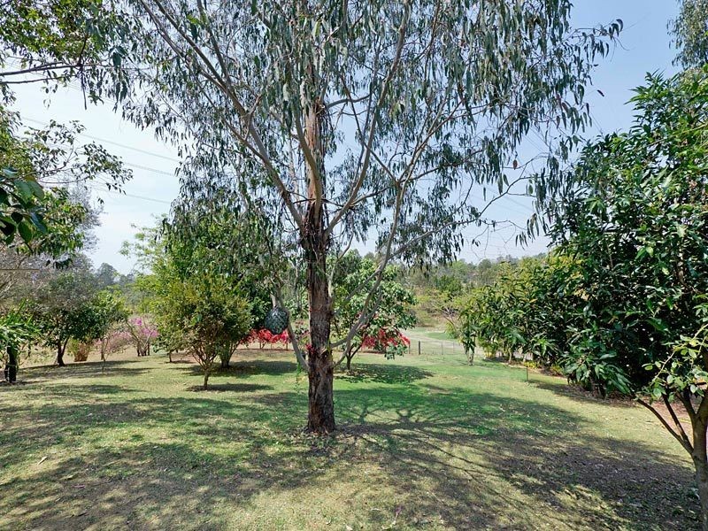 17 Omeo Grove, Karana Downs QLD 4306