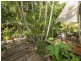 13 Redgum Close, Bellbowrie QLD 4070