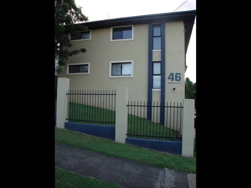 3/46 Collingwood Street, Paddington QLD 4064