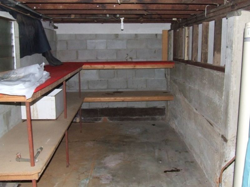 10 Payne Street, Indooroopilly QLD 4068