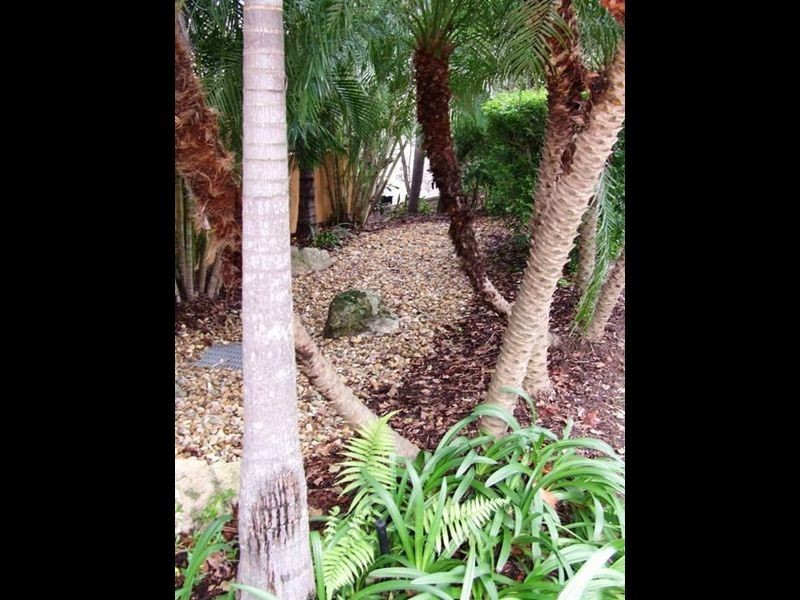 12/58 Swann Road, Taringa QLD 4068