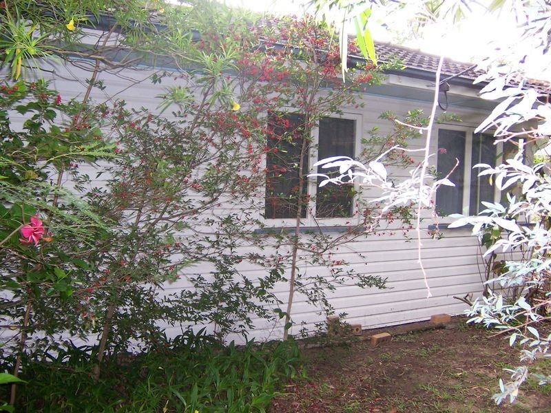 215 Carmody Road, St Lucia QLD 4067