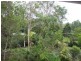 68 Almeida Street, Indooroopilly QLD 4068