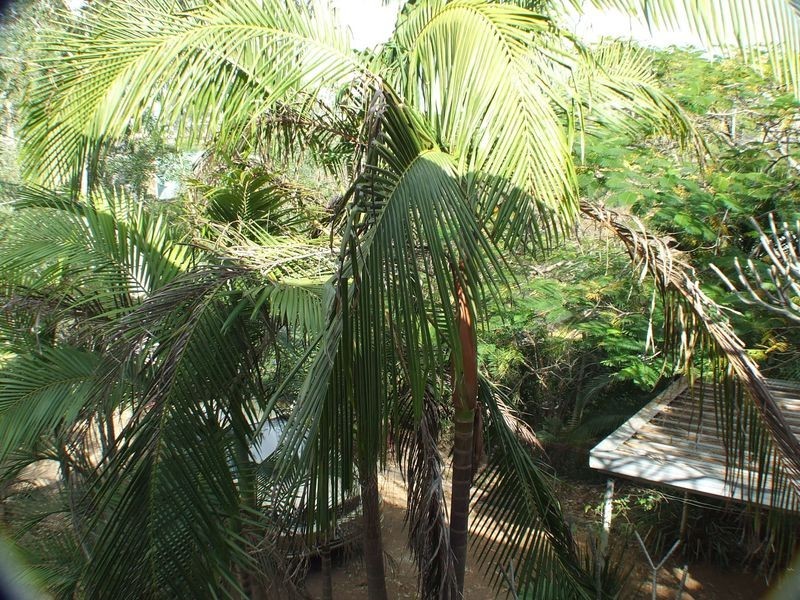 28 Stanley Street, Indooroopilly QLD 4068