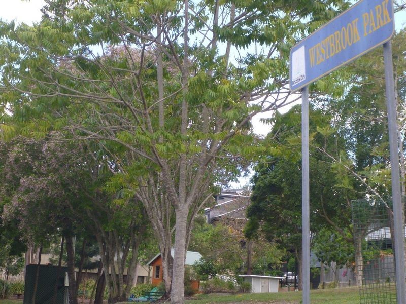 69 Camp Street, Toowong QLD 4066