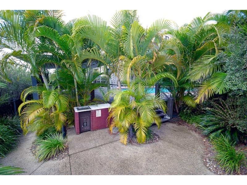57/35 Morrow Street, Taringa QLD 4068