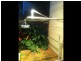 1/39 Prospect Terrace, St Lucia QLD 4067