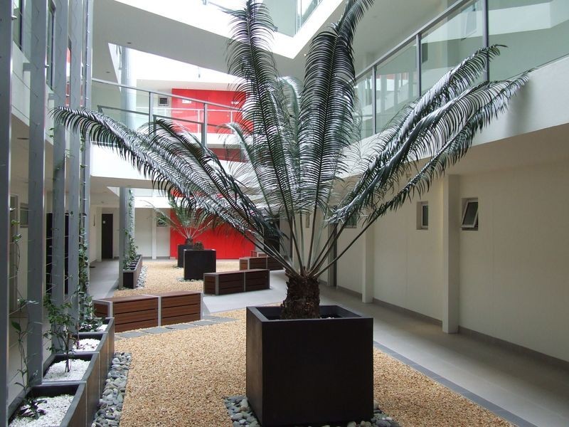 19/18 Gailey Road, St Lucia QLD 4067