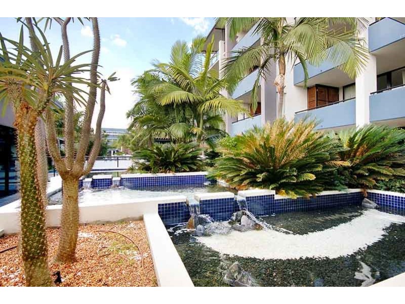 21/26 Holland Street, Toowong QLD 4066