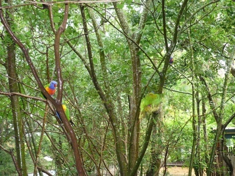 182 Indooroopilly Road, Taringa QLD 4068