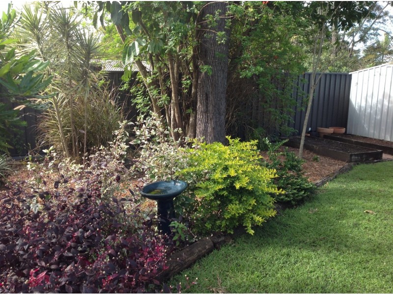 23 Limosa Street, Bellbowrie QLD 4070