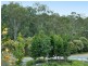 61 Emerald Crescent, Springfield QLD 4300