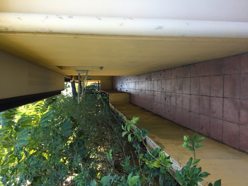 1/45 Riverview Terrace, Indooroopilly QLD 4068