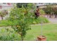 4/47 Newcomen Street, Indooroopilly QLD 4068