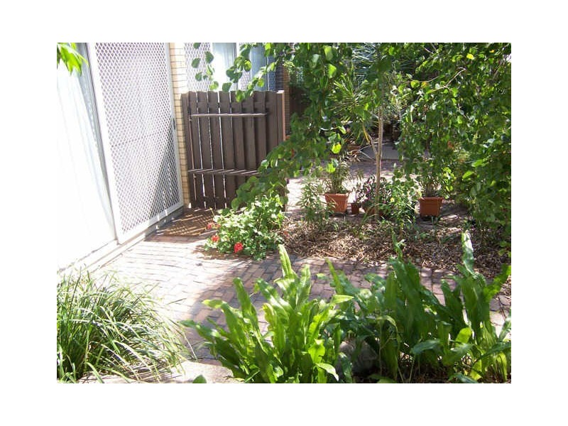 3/18 Holmes Street, Toowong QLD 4066