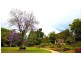 10 Teague Street, Indooroopilly QLD 4068