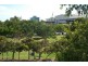 3/48 Underhill Avenue, Indooroopilly QLD 4068