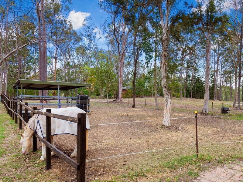 344 Kangaroo Gully Road, Bellbowrie QLD 4070