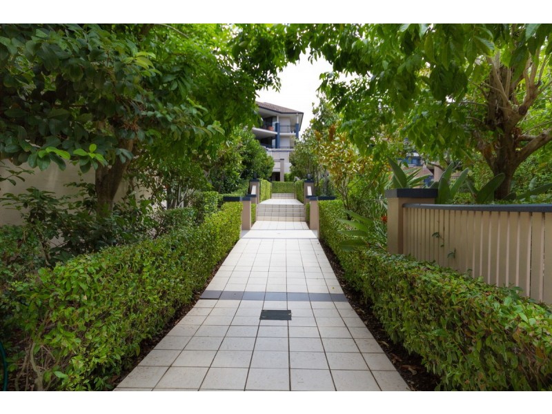 14/53 Warren Street, St Lucia QLD 4067