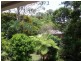 91 Main Avenue, Bardon QLD 4065