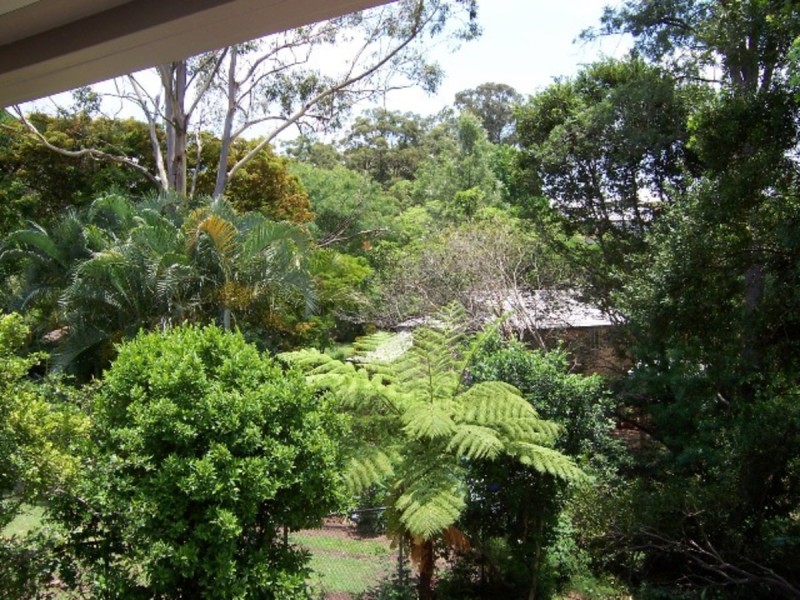 91 Main Avenue, Bardon QLD 4065