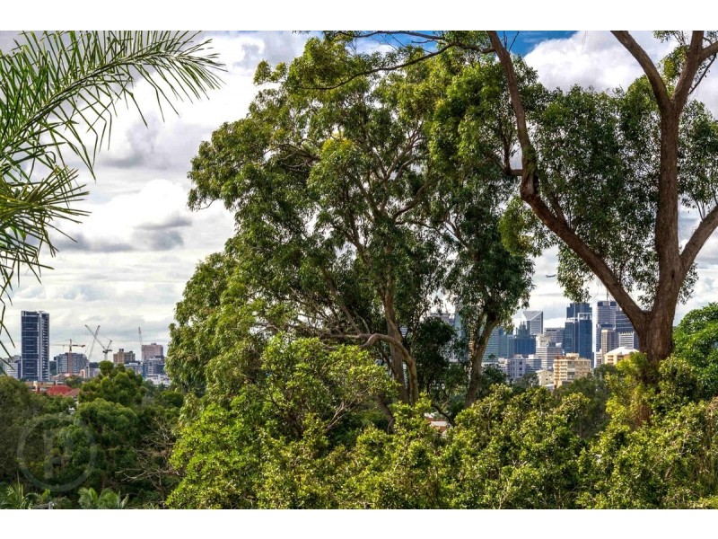 5/24 Miskin Street, Toowong QLD 4066