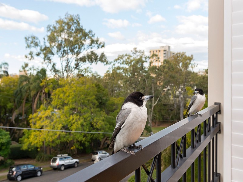 7/23 Bellevue Terrace, St Lucia QLD 4067
