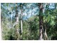 880 Grandview Road, Upper Brookfield QLD 4069