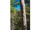 880 Grandview Road, Upper Brookfield QLD 4069
