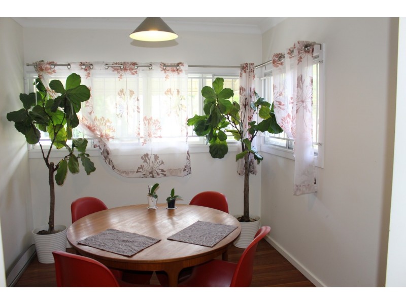 19 Warren Street, St Lucia QLD 4067
